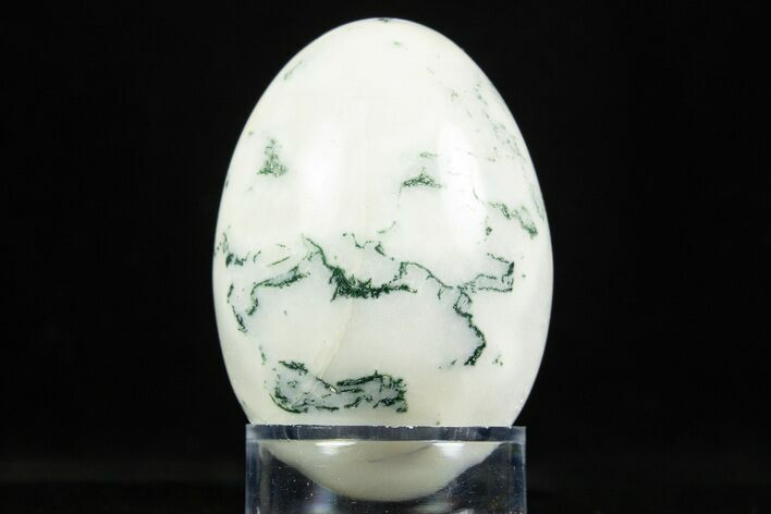 Polished Tree Agate Egg - India #308865